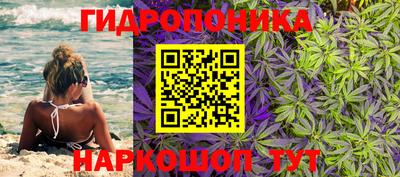 apvp Севастополь