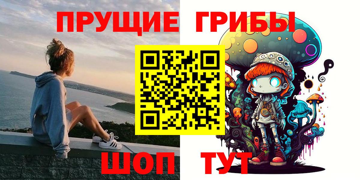 Псилоцибиновые грибы GOLDEN TEACHER Печора