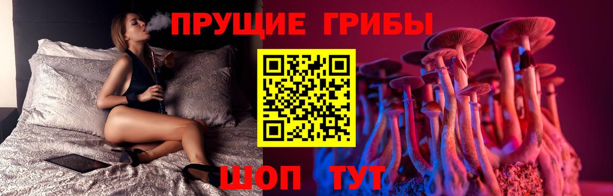 Печора  Галлюциногенные грибы MAGIC MUSHROOMS  Вход с VPN 